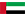 UAE Flag